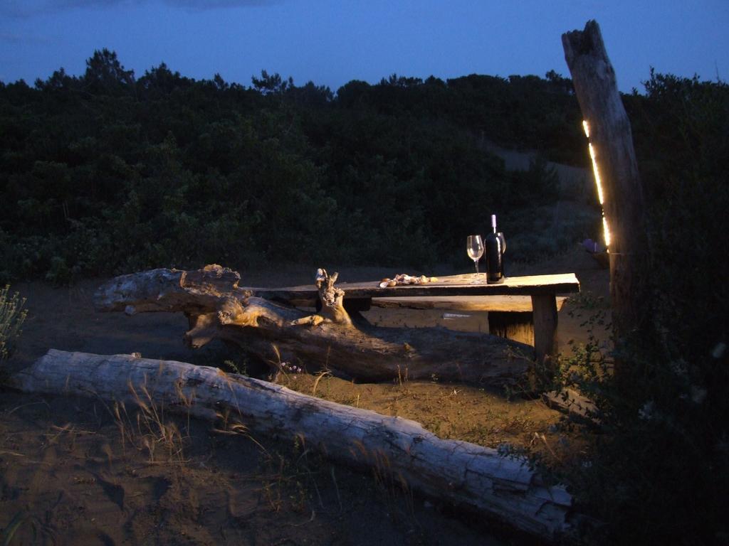 Vacanze Toscane In The Seaside Marina di Castagneto Carducci Zewnętrze zdjęcie